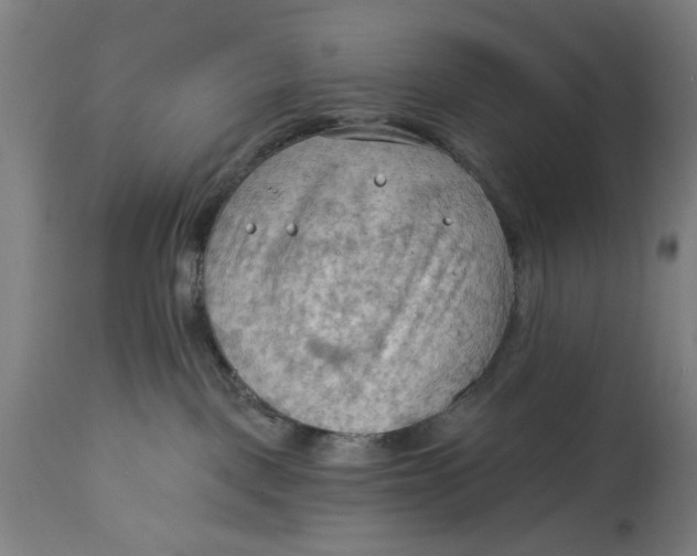 X0000114630093200911101246