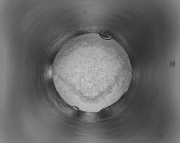 X0000114630095200911101246