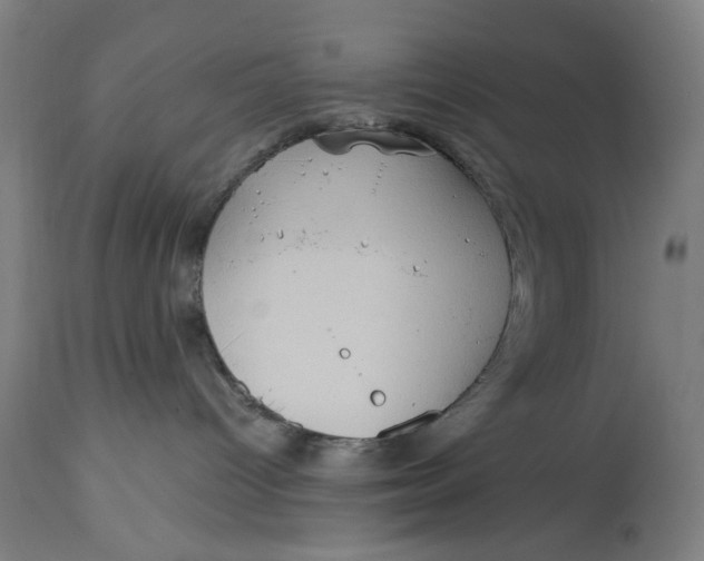 X0000114630096200911101246