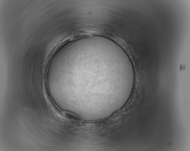 X0000114630097200911101245