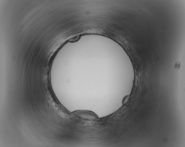 X0000114630098200911101245