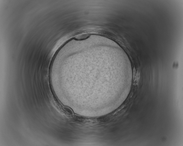 X0000114630099200911101245