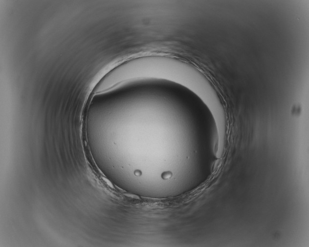 X0000114630100200911101245