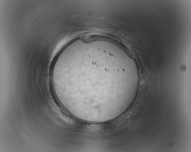 X0000114630102200911101245