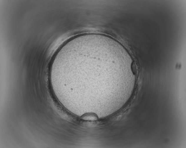 X0000114630103200911101245