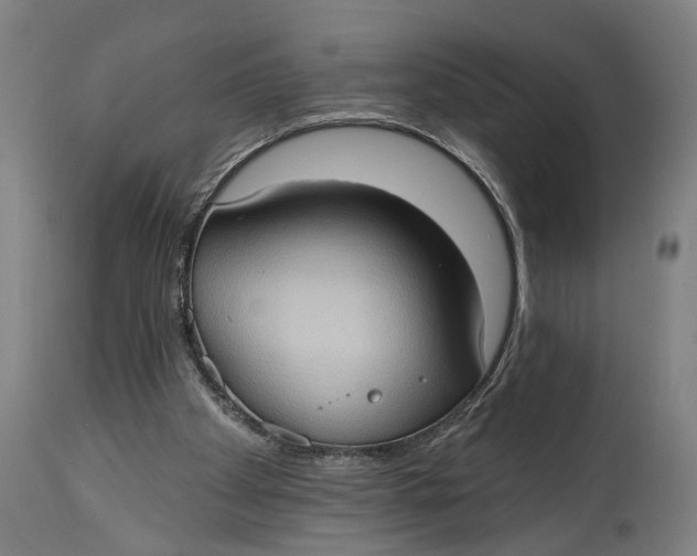 X0000114630105200911101245