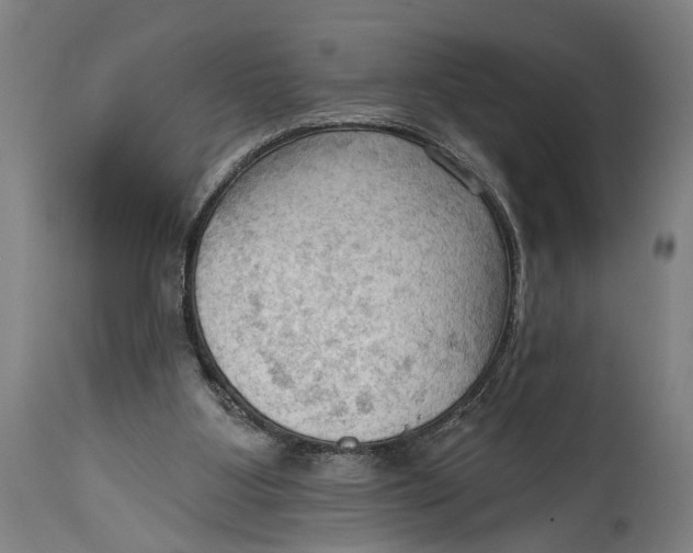 X0000114630107200911101245