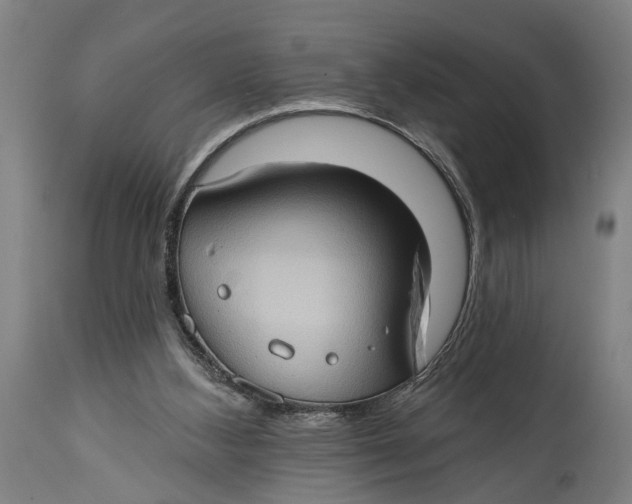 X0000114630108200911101245