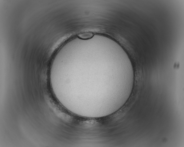 X0000114630112200911101245