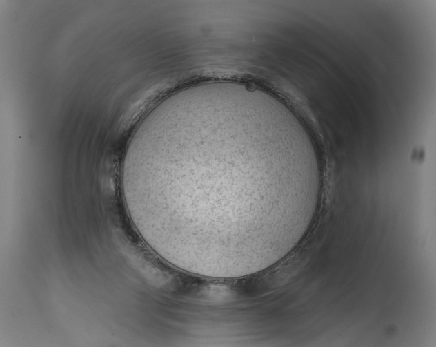 X0000114630114200911101245