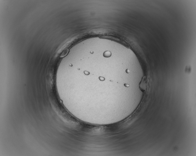 X0000114630116200911101245