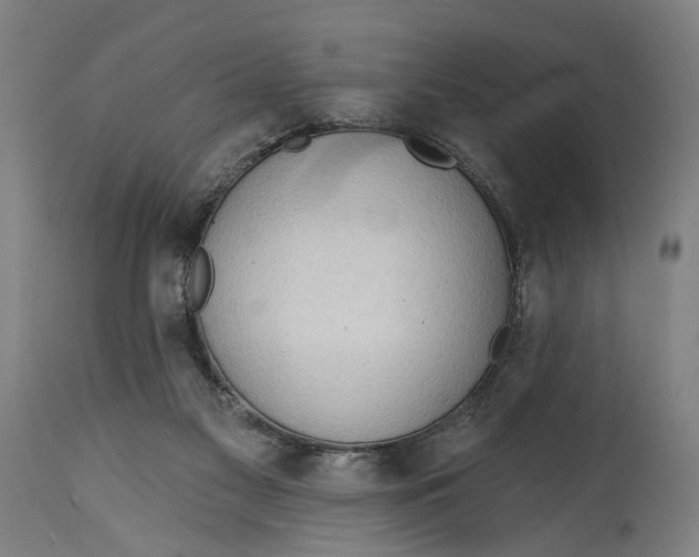 X0000114630117200911101245