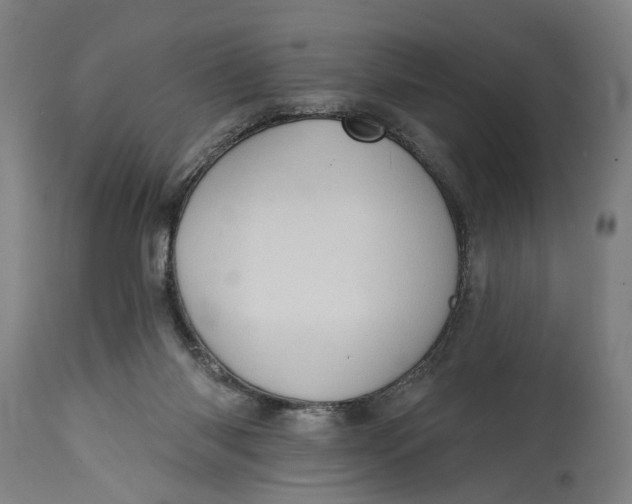 X0000114630118200911101245