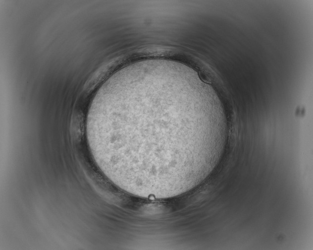 X0000114630119200911101245