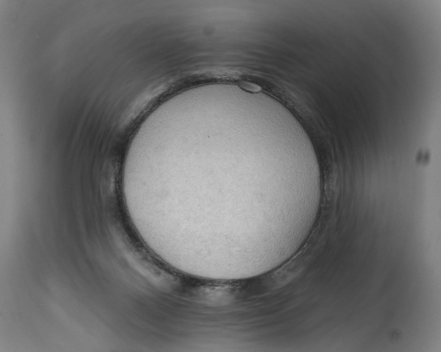 X0000114630120200911101245