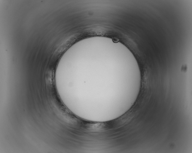 X0000114630122200911101245