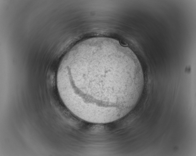 X0000114630123200911101245