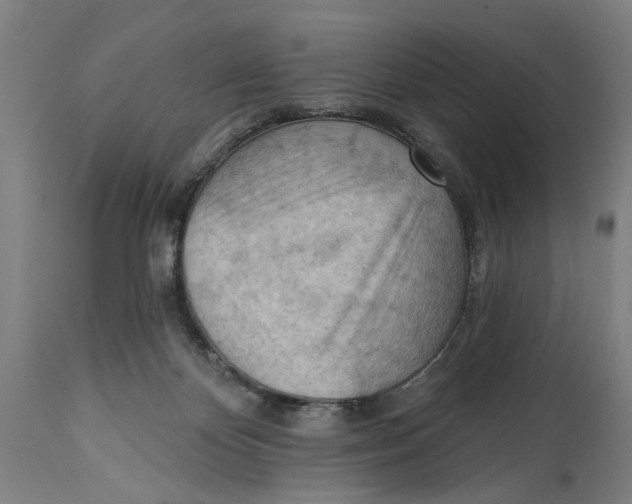 X0000114630124200911101245