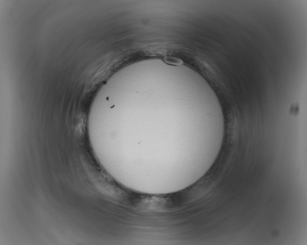 X0000114630125200911101245