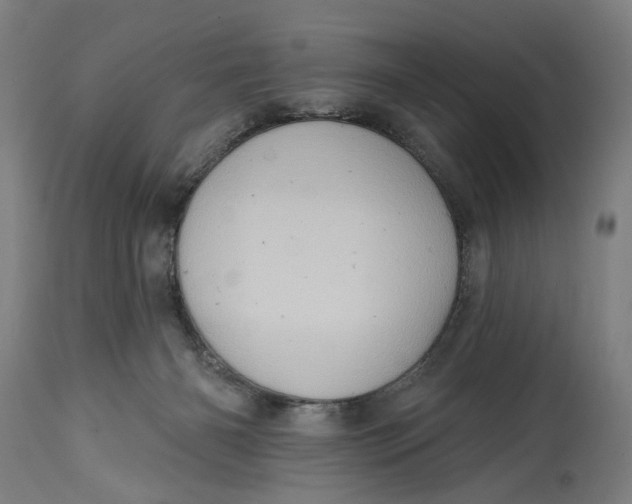 X0000114630126200911101245