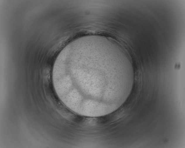 X0000114630127200911101245