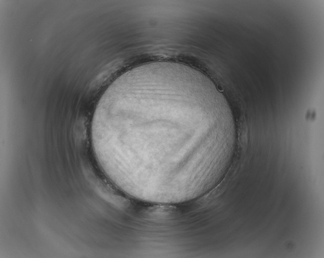 X0000114630128200911101245