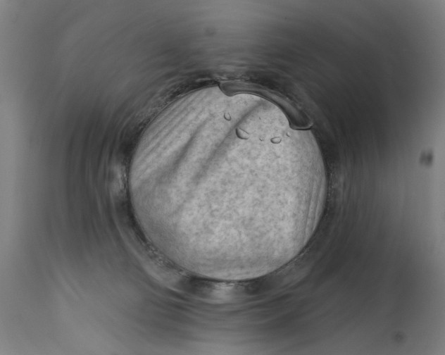 X0000114630130200911101245