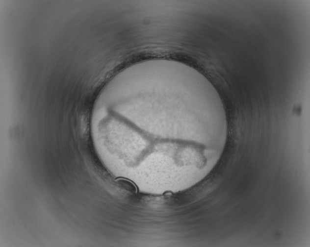 X0000114630131200911101245