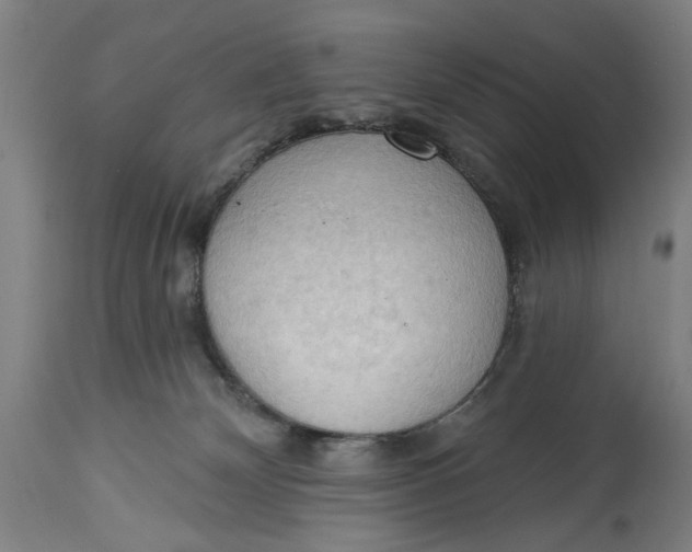 X0000114630132200911101245