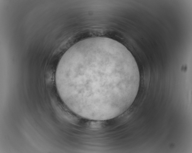 X0000114630134200911101245