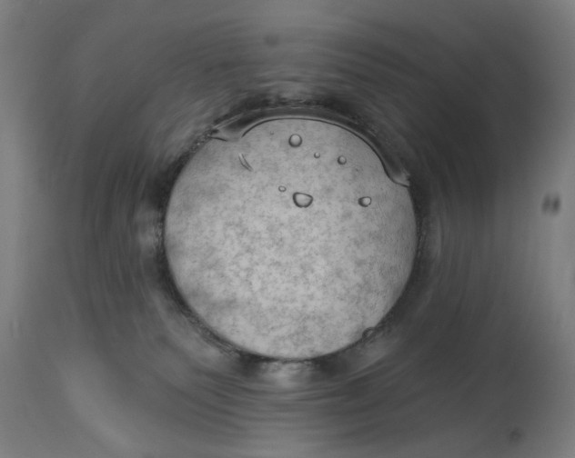 X0000114630135200911101245