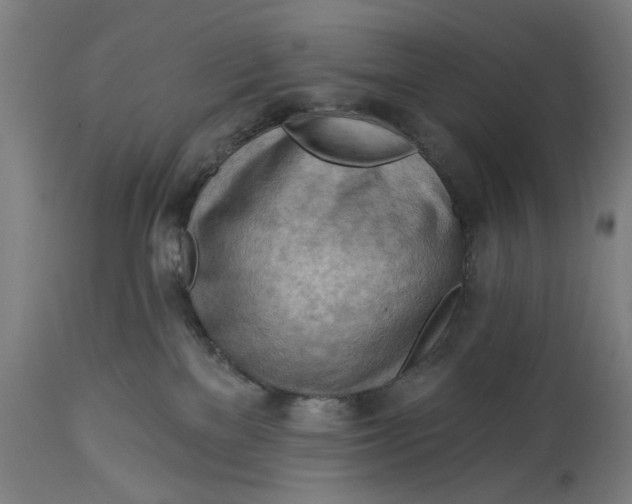 X0000114630137200911101245