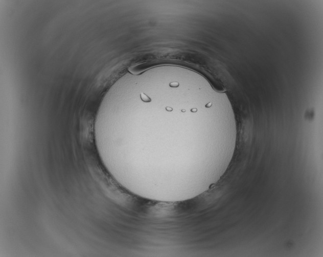 X0000114630138200911101245