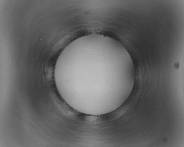 X0000114630139200911101245