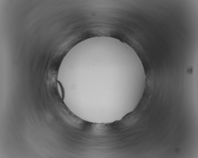 X0000114630141200911101245