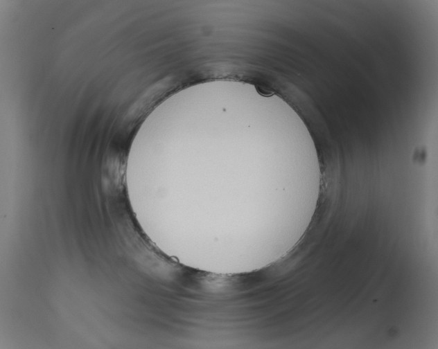 X0000114630142200911101245