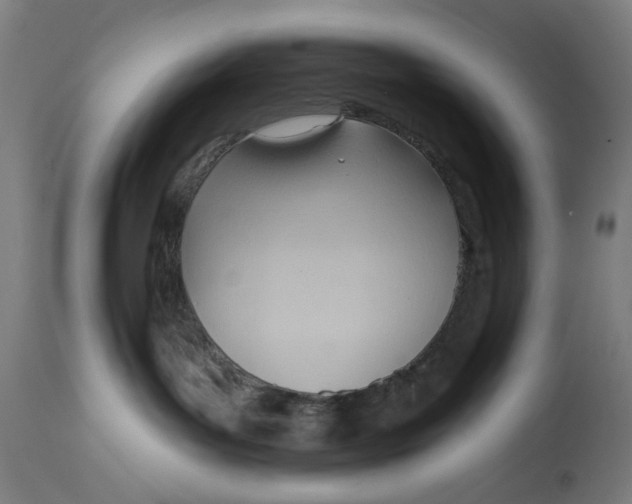 X0000114630143200911101245