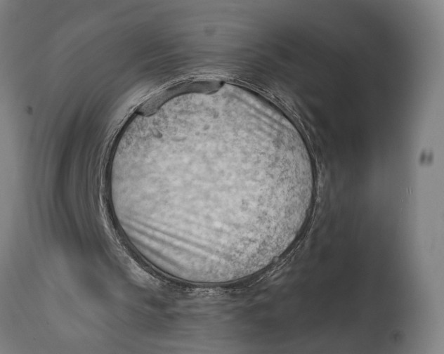 X0000114630145200911101244