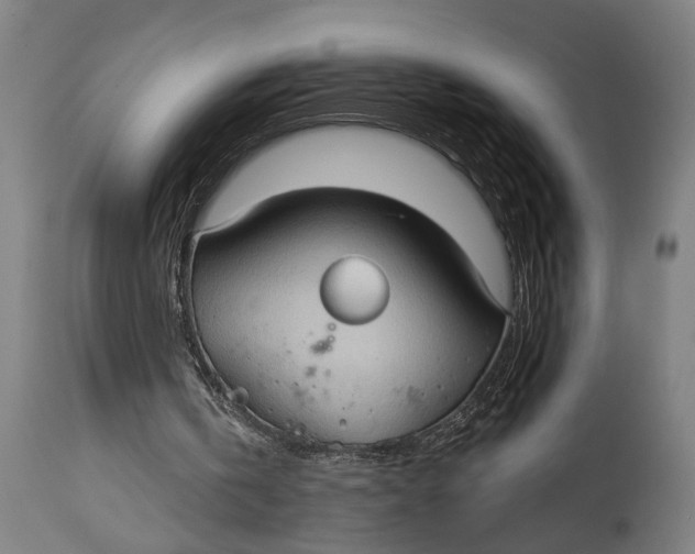 X0000114630146200911101244