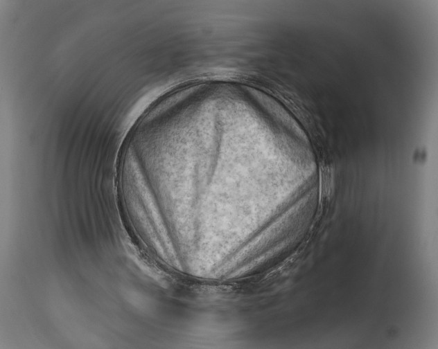 X0000114630147200911101244