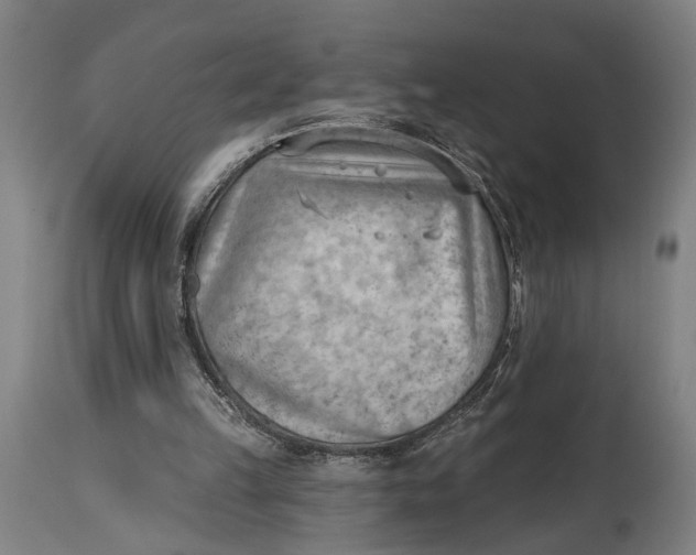 X0000114630149200911101244