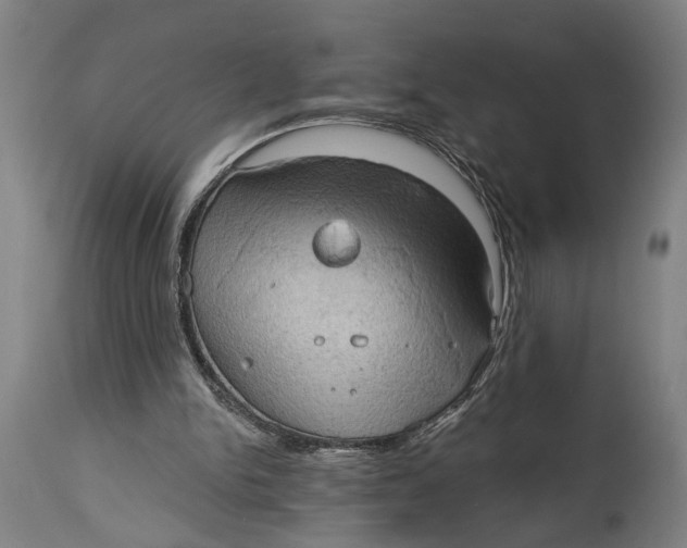 X0000114630150200911101244