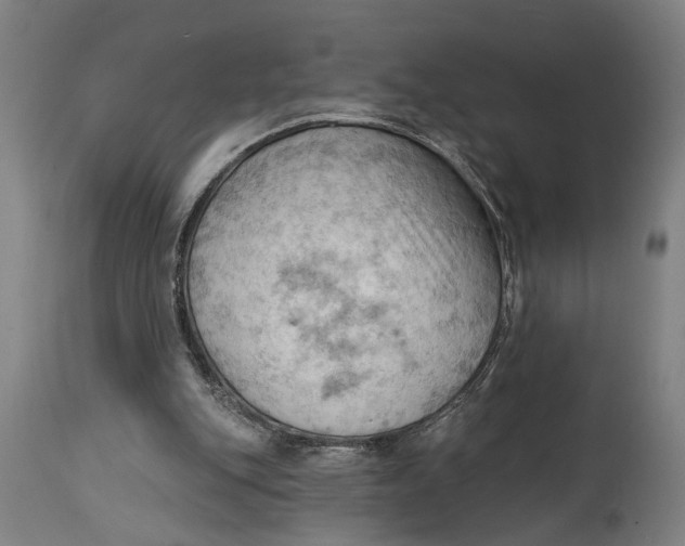 X0000114630151200911101244