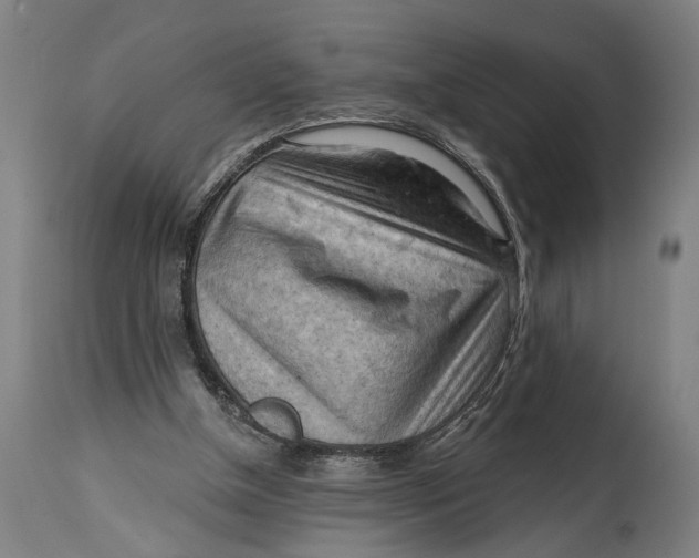 X0000114630154200911101244