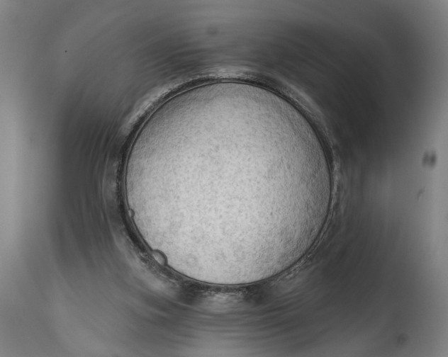 X0000114630155200911101244