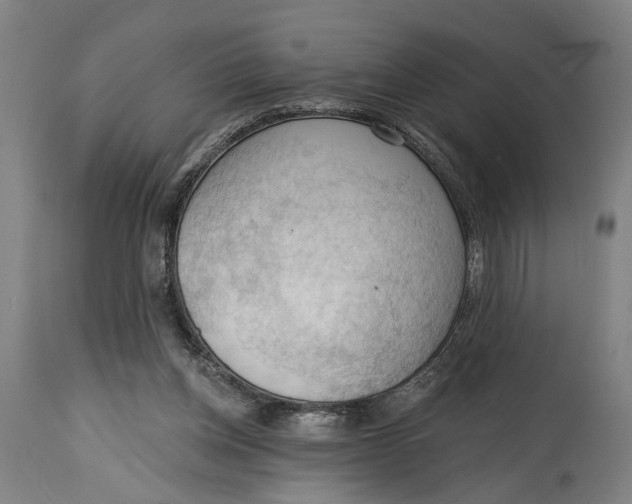 X0000114630158200911101244