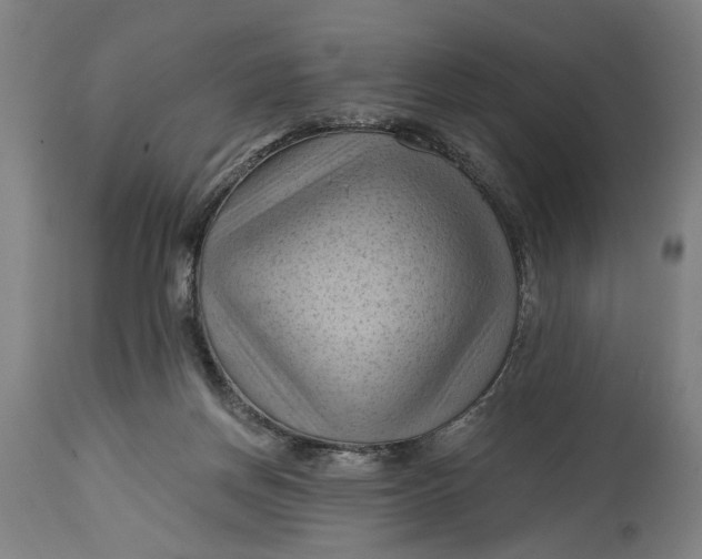 X0000114630166200911101244