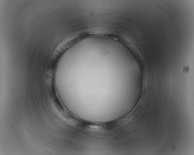 X0000114630167200911101244