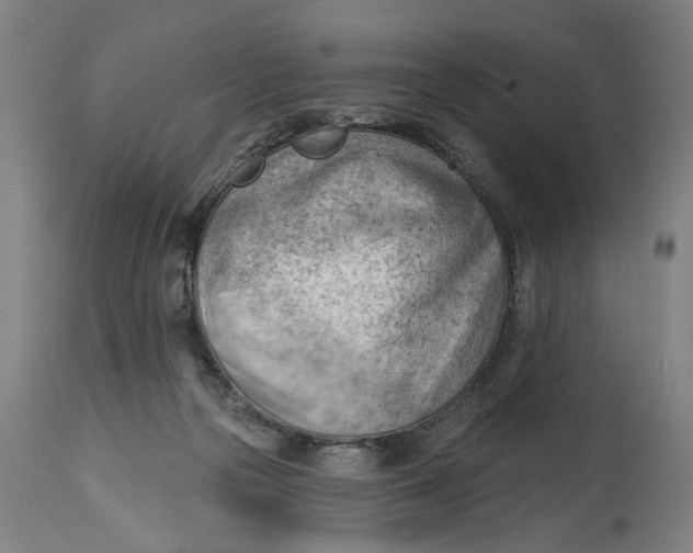 X0000114630169200911101244