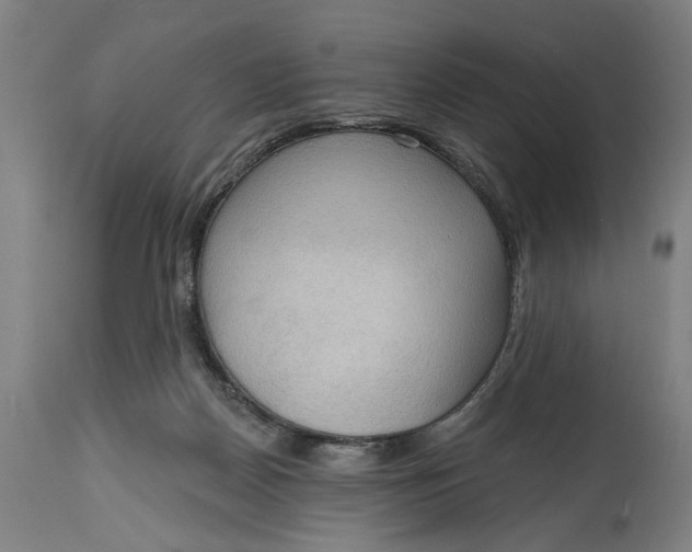 X0000114630170200911101244